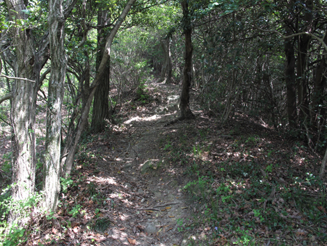 20140426hike (86)